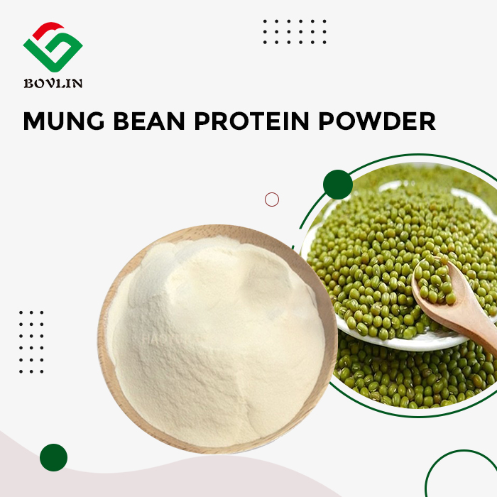 Mung Bean Protein Powder